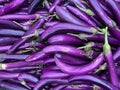 Vegetable Seeds,Garden seeds, Seeds For Planting,Plant Seeds