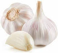 Vegetable Seeds,Garden seeds, Seeds For Planting,Plant Seeds