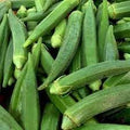 Vegetable Seeds,Garden seeds, Seeds For Planting,Plant Seeds
