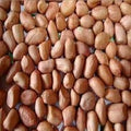 Vegetable Seeds,Garden seeds, Seeds For Planting,Plant Seeds