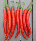 Vegetable Seeds,Garden seeds, Seeds For Planting,Plant Seeds