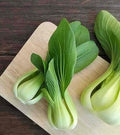 Vegetable Seeds,Garden seeds, Seeds For Planting,Plant Seeds