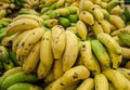 Fruit Seeds,Garden seeds, Seeds For Planting,Plant Seeds