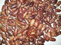 Vegetable Seeds,Garden seeds, Seeds For Planting,Plant Seeds