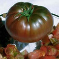 Vegetable Seeds,Garden seeds, Seeds For Planting,Plant Seeds