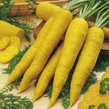 Vegetable Seeds,Garden seeds, Seeds For Planting,Plant Seeds