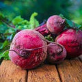 Fruit Seeds,Garden seeds, Seeds For Planting,Plant Seeds