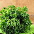 Vegetable Seeds,Garden seeds, Seeds For Planting,Plant Seeds