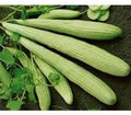 Vegetable Seeds,Garden seeds, Seeds For Planting,Plant Seeds