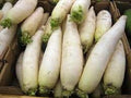 Vegetable Seeds,Garden seeds, Seeds For Planting,Plant Seeds