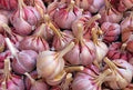 Vegetable Seeds,Garden seeds, Seeds For Planting,Plant Seeds