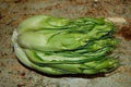 Vegetable Seeds,Garden seeds, Seeds For Planting,Plant Seeds