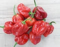 Vegetable Seeds,Garden seeds, Seeds For Planting,Plant Seeds