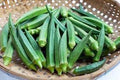 Vegetable Seeds,Garden seeds, Seeds For Planting,Plant Seeds