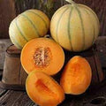Fruit Seeds,Garden seeds, Seeds For Planting,Plant Seeds