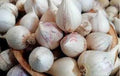 Vegetable Seeds,Garden seeds, Seeds For Planting,Plant Seeds