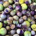 Vegetable Seeds,Garden seeds, Seeds For Planting,Plant Seeds