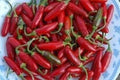 Vegetable Seeds,Garden seeds, Seeds For Planting,Plant Seeds