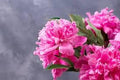 Flower Seeds, Seeds,Seeds For Planting,Plant Seeds