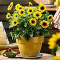 Flower Seeds, Seeds,Seeds For Planting,Plant Seeds