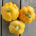 Vegetable Seeds,Garden seeds, Seeds For Planting,Plant Seeds