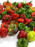 Vegetable Seeds,Garden seeds, Seeds For Planting,Plant Seeds