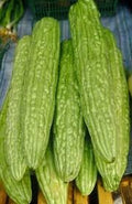 Vegetable Seeds,Garden seeds, Seeds For Planting,Plant Seeds