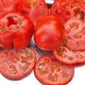 Vegetable Seeds,Garden seeds, Seeds For Planting,Plant Seeds