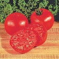 Vegetable Seeds,Garden seeds, Seeds For Planting,Plant Seeds