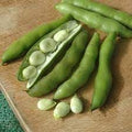 Vegetable Seeds,Garden seeds, Seeds For Planting,Plant Seeds