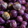 Vegetable Seeds,Garden seeds, Seeds For Planting,Plant Seeds