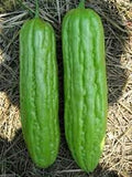Vegetable Seeds,Garden seeds, Seeds For Planting,Plant Seeds