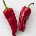Vegetable Seeds,Garden seeds, Seeds For Planting,Plant Seeds