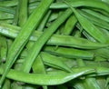 Vegetable Seeds,Garden seeds, Seeds For Planting,Plant Seeds