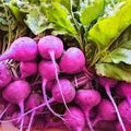 Vegetable Seeds,Garden seeds, Seeds For Planting,Plant Seeds