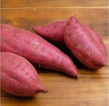 Vegetable Seeds,Garden seeds, Seeds For Planting,Plant Seeds