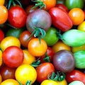 Vegetable Seeds,Garden seeds, Seeds For Planting,Plant Seeds