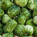 Fruit Seeds,Garden seeds, Seeds For Planting,Plant Seeds
