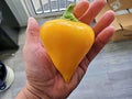 Vegetable Seeds,Garden seeds, Seeds For Planting,Plant Seeds