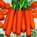 Vegetable Seeds,Garden seeds, Seeds For Planting,Plant Seeds