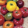 Vegetable Seeds,Garden seeds, Seeds For Planting,Plant Seeds