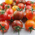 Vegetable Seeds,Garden seeds, Seeds For Planting,Plant Seeds