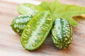 Vegetable Seeds,Garden seeds, Seeds For Planting,Plant Seeds