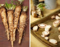 Vegetable Seeds,Garden seeds, Seeds For Planting,Plant Seeds
