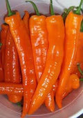 Vegetable Seeds,Garden seeds, Seeds For Planting,Plant Seeds