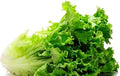 Vegetable Seeds,Garden seeds, Seeds For Planting,Plant Seeds