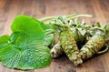 Vegetable Seeds,Garden seeds, Seeds For Planting,Plant Seeds