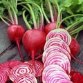 Vegetable Seeds,Garden seeds, Seeds For Planting,Plant Seeds