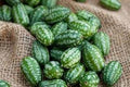 Fruit Seeds,Garden seeds, Seeds For Planting,Plant Seeds
