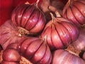 Vegetable Seeds,Garden seeds, Seeds For Planting,Plant Seeds